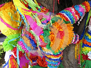 Pretty Pinatas photo