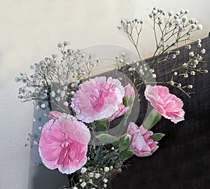 Pretty Pink Carnation and white Babies-Breath fresh cut real flower display