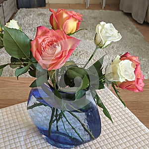 Pretty pink and white Roses in a translucent blue vase on a white matting. Indoors.  Australia