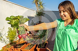 Pretty pre-adolescent girl smiling picking radishes in the urban garden on the terrace of her house