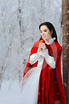 Krásny sneh biely princezná v zime rozprávka krajina zázrakov 