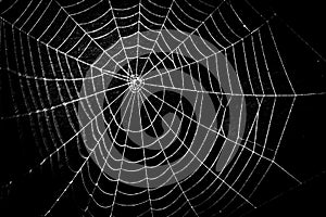 A pretty scary frightening spider web for halloween