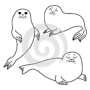 Pretty Seals isolated on white. Vector Set of marine mammal.