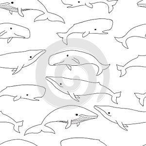 Pretty Seals seamless pattern. Vector marine background.