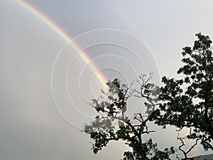 Rainbow photo