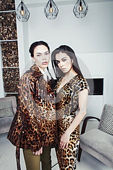 Pretty stylish woman in fashion dress with leopard print together in luxury rich room interior, lifestyle people concept