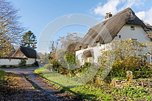 Pretty thatched cottages in the village of Tarrant Monkton, Dorset, England, UK, in Autumn