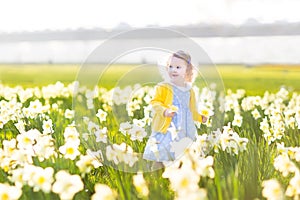 Pretty toddler girl field of white daffodil flowers