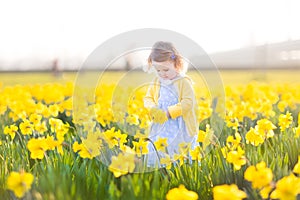 Pretty toddler girl field of yellow daffodil flowers