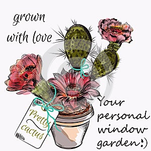 Pretty vector card with hand drawn cactus grown with love