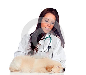 Pretty vet with a cute puppy sleeping