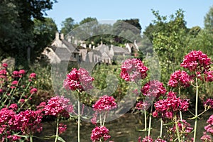 Pretty village of Bibury in the Cotswolds UK, with red valerian flowers in the foreground and Arlington Row cottages at back