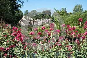 Pretty village of Bibury in the Cotswolds UK, with red valerian flowers in the foreground and Arlington Row cottages at back