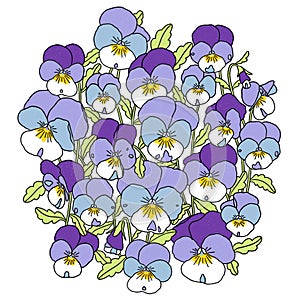 Pretty violets flowers composition, illustration