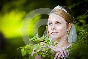 Pretty wedding portrait of bride