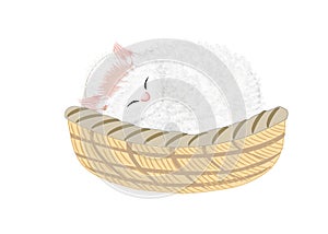 Background and texture