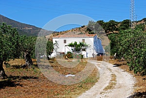 Lane leading to farmhouse, Alora, Spain. photo