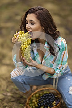 Pretty woman eating grapes in vineyard, pretty woman in vinery