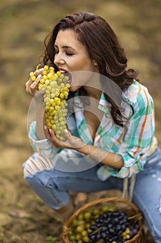 Pretty woman eating grapes in vineyard, pretty woman in vinery