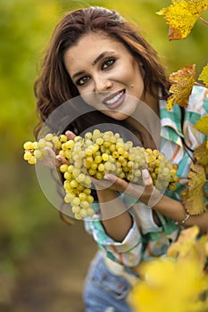 Pretty woman eating grapes in vineyard, pretty woman in vinery