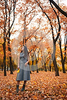 Pretty woman posing in autumn park near big tree. Beautiful landscape at fall season