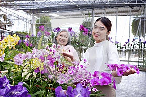 Pretty woman shopper chooses orchids flowers in the store.