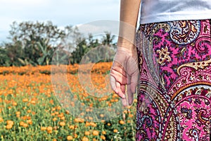 Pretty woman stands in marigold field in the valley. Tropical island of Bali, Indonesia.