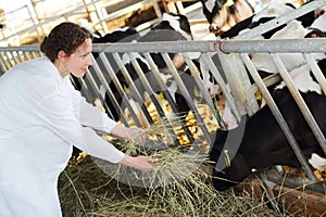 Pretty woman in white coat feeds of hay small