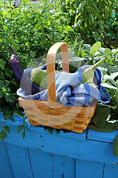 Pretty wood basket filled with the fruits and vegetables of Summertime