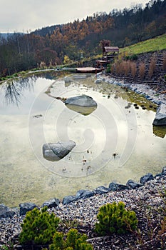 Pretty wooden pier at natural swimming pond purifying water plants