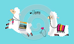 Pretty Wooly Llama or Alpaca Wearing Knitted Blanket Sitting and Jumping Vector Set