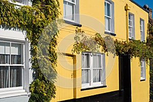 A pretty yellow brick house with sash windows and grape vines hanging on the exterior walls on a sunny day
