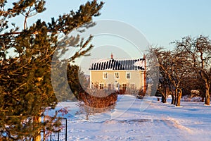 Pretty yellow house with painted shingles and black metal roof seen during a sunny early morning winter