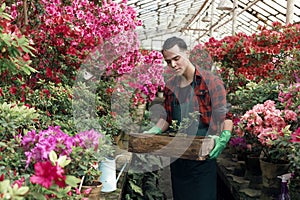 Pretty young gardener male student with trendy hairstyle holding a box with flower