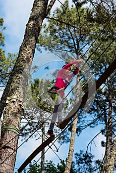 pretty young girl doing tree climbing in a forest park in southwest France