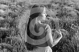 pretty young girl in a lavender provence at sunset. provence girl at lavender flowers. Adorable girl in lavender