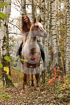 Pretty young girl riding a horse without any equipment in autumn