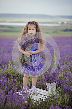 Pretty young girl sitting in lavender field in nice hat boater with purple flower on it.