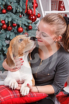 A pretty young lady hugging cute beagle dog as they are looking at each other on the New Year eve