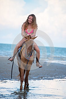 Pretty young lady riding a horse on the beach background of the sea