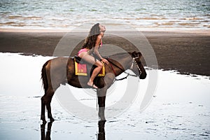 Pretty young lady riding a horse on the beach background of the sea