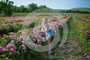 Pretty Young tender woman walking in the tea roses field. Blond lady wearing jeans and retro hat enjoy summer day