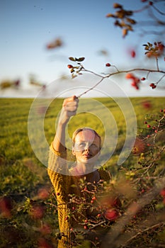 Pretty, young woman collecting rosehip fruit