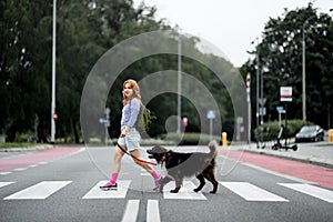 Pretty young woman and cute furry dog crossing the street at crosswalk stripes