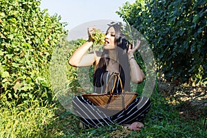 Pretty young woman eating grapes in vineyard
