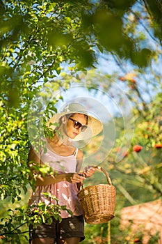Pretty, young woman gardening in her garden