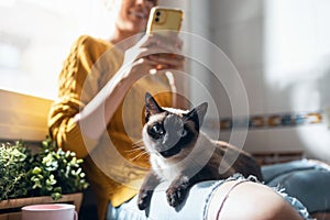 Pretty young woman with her cute cat using mobile phone while sitting on kitchen table at home