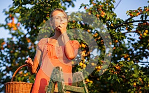 Pretty, young woman picking apricots lit