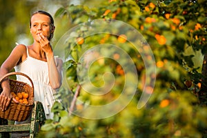 Pretty, young woman picking apricots lit