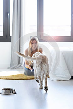 Pretty young woman playing with her dog while sitting on the floor at home